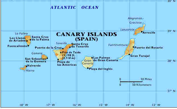 corvina on canari islands